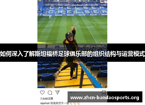 如何深入了解斯坦福桥足球俱乐部的组织结构与运营模式