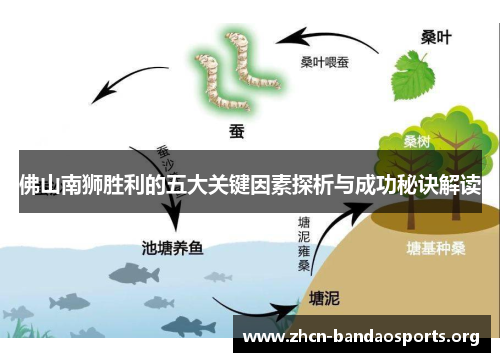 佛山南狮胜利的五大关键因素探析与成功秘诀解读