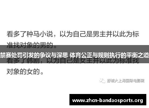 禁赛处罚引发的争议与深思 体育公正与规则执行的平衡之道