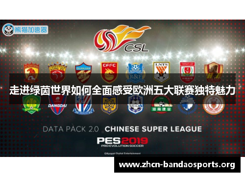 走进绿茵世界如何全面感受欧洲五大联赛独特魅力 走进绿茵世界如何全面感受欧洲五大联赛独特魅力