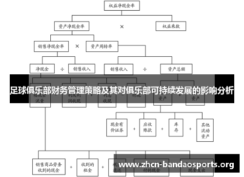 足球俱乐部财务管理策略及其对俱乐部可持续发展的影响分析 足球俱乐部财务管理策略及其对俱乐部可持续发展的影响分析