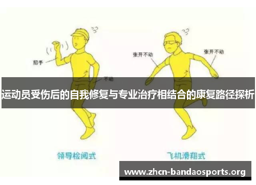 运动员受伤后的自我修复与专业治疗相结合的康复路径探析 运动员受伤后的自我修复与专业治疗相结合的康复路径探析