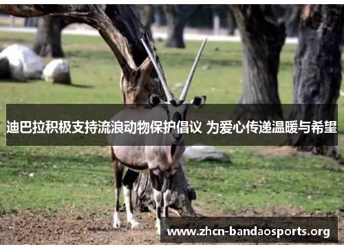 迪巴拉积极支持流浪动物保护倡议 为爱心传递温暖与希望 迪巴拉积极支持流浪动物保护倡议 为爱心传递温暖与希望