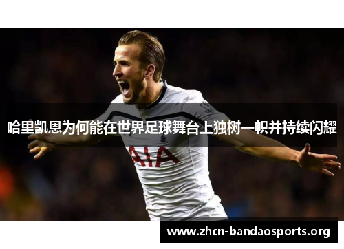 哈里凯恩为何能在世界足球舞台上独树一帜并持续闪耀 哈里凯恩为何能在世界足球舞台上独树一帜并持续闪耀