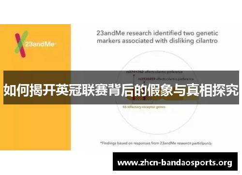 如何揭开英冠联赛背后的假象与真相探究 如何揭开英冠联赛背后的假象与真相探究