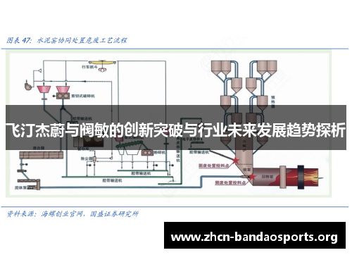 飞汀杰蔚与阀敏的创新突破与行业未来发展趋势探析