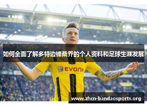 如何全面了解多特边锋桑乔的个人资料和足球生涯发展