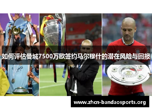 如何评估曼城7500万欧签约马尔穆什的潜在风险与回报