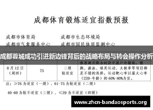 成都蓉城成功引进新边锋背后的战略布局与转会操作分析